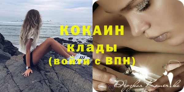 спиды Арсеньев