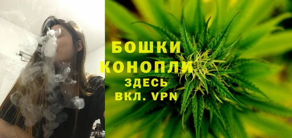 спиды Арсеньев